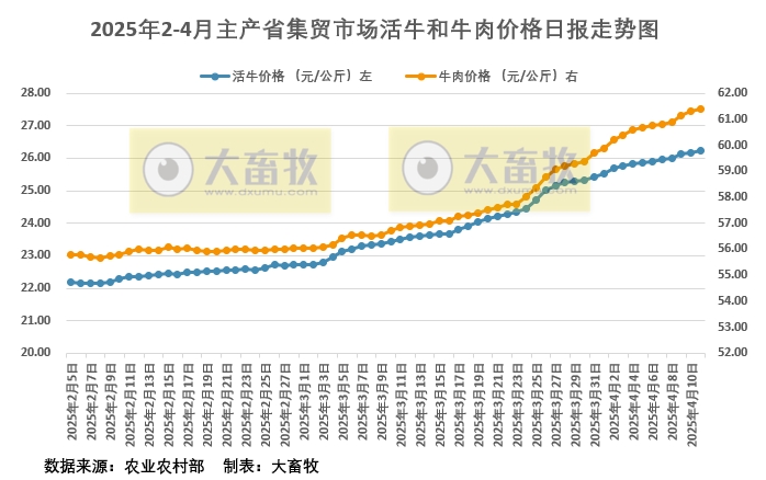 2025年4月11日活牛和牛肉价格