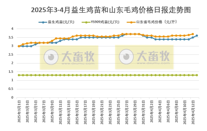 2025年4月13日益生鸡苗行情资讯