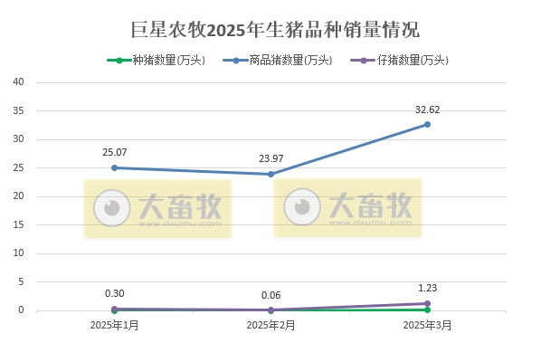 巨星、京基和金新农2025年3月及1季度生猪销售情况