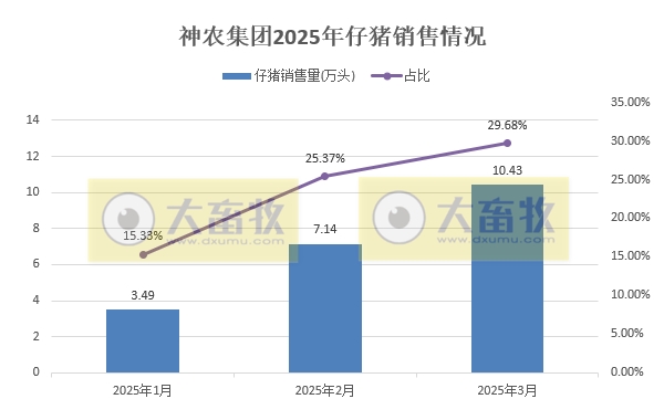 神农集团2025年3月及1季度生猪生产销售情况——3月销量和收入均创历史新高