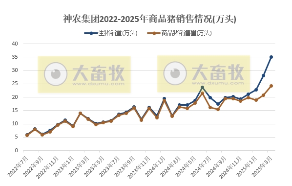 神农集团2025年3月及1季度生猪生产销售情况——3月销量和收入均创历史新高