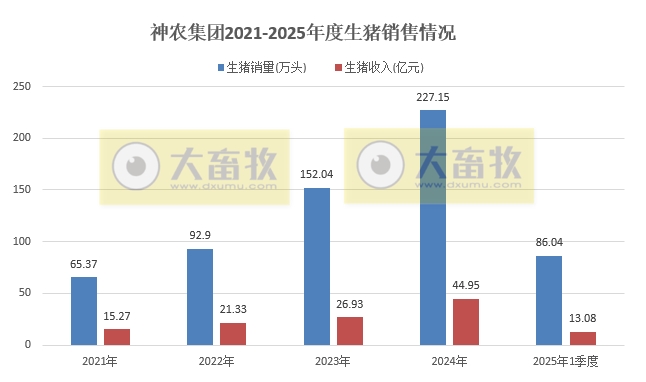 神农集团2025年3月及1季度生猪生产销售情况——3月销量和收入均创历史新高