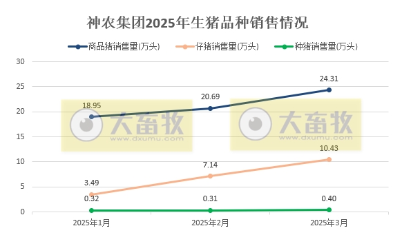 神农集团2025年3月及1季度生猪生产销售情况——3月销量和收入均创历史新高