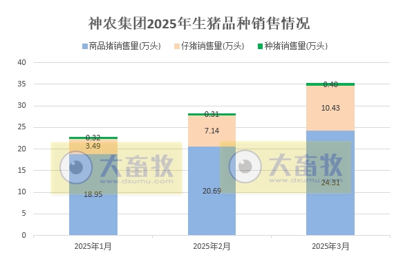 神农集团2025年3月及1季度生猪生产销售情况——3月销量和收入均创历史新高