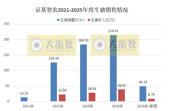 巨星、京基和金新农2025年3月及1季度生猪销售情况