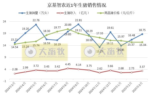 巨星、京基和金新农2025年3月及1季度生猪销售情况