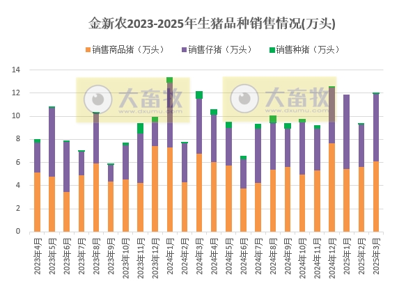 巨星、京基和金新农2025年3月及1季度生猪销售情况