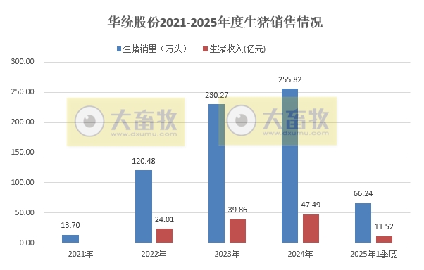 中粮、华统和益生2025年3月及1季度生猪销售情况
