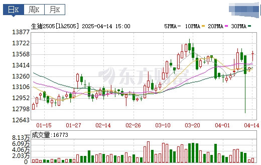 今日猪价 | 2025.04.15 猪价行情——连续5天上涨，上涨幅度扩大