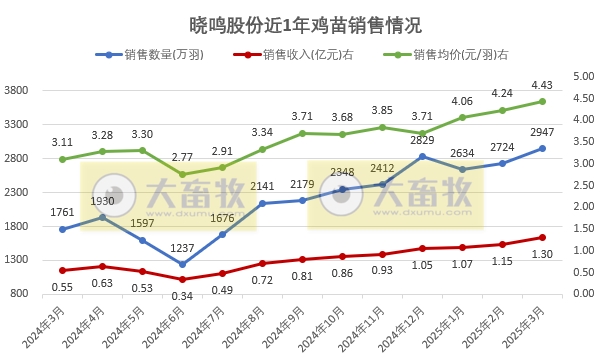 益生、民和和晓鸣2025年3月及1季度鸡苗销售情况