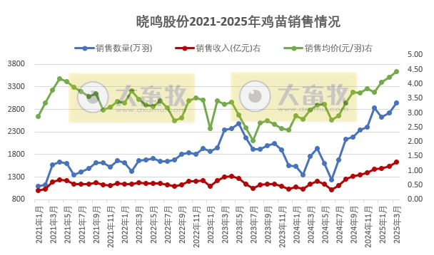 益生、民和和晓鸣2025年3月及1季度鸡苗销售情况