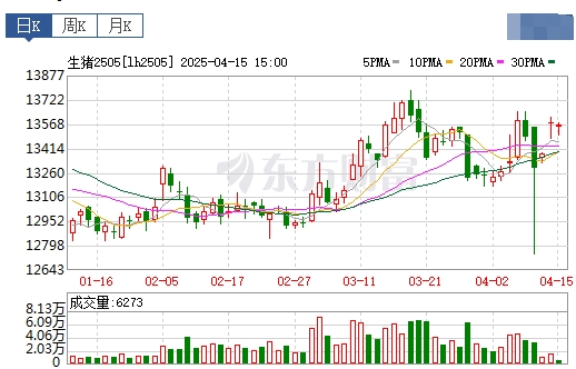 今日猪价 | 2025.04.16 猪价行情——涨跌互现