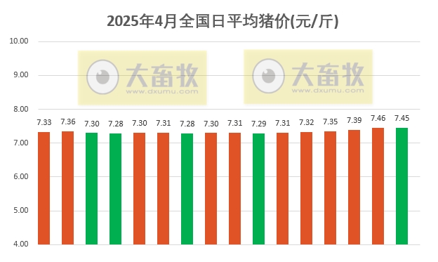今日猪价 | 2025.04.16 猪价行情——涨跌互现