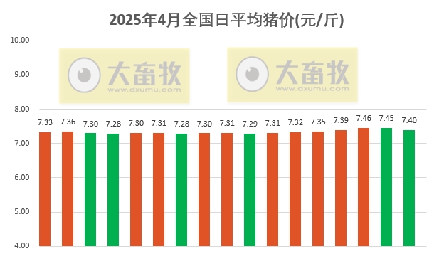 今日猪价 | 2025.04.17 猪价行情——多数出现下跌