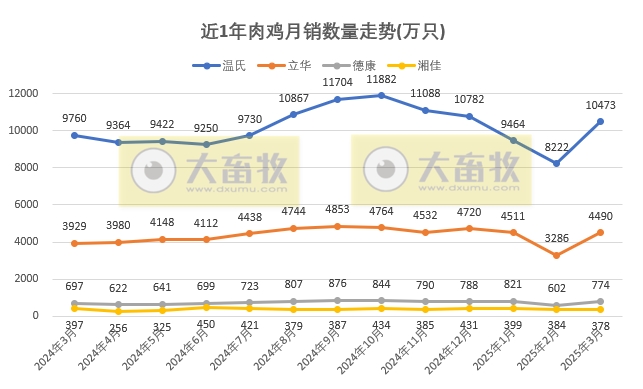 9家上市家禽企业2025年3月及1季度肉鸡和鸡苗销售情况PK
