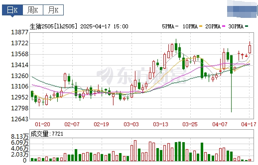 今日猪价 | 2025.04.18 猪价行情