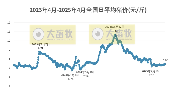 今日猪价 | 2025.04.18 猪价行情