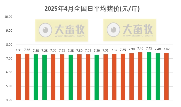 今日猪价 | 2025.04.18 猪价行情