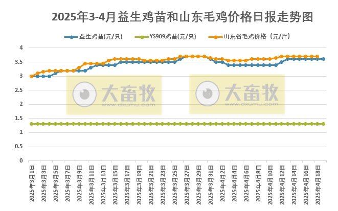 2025年4月19日益生鸡苗行情资讯