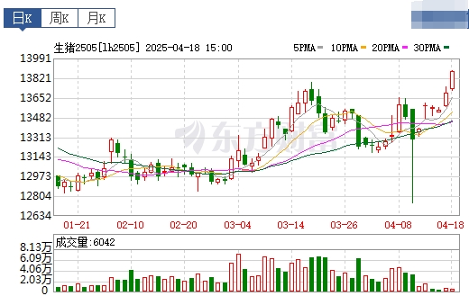 今日猪价 | 2025.04.19 猪价行情