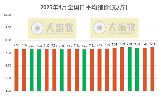 今日猪价 | 2025.04.19 猪价行情