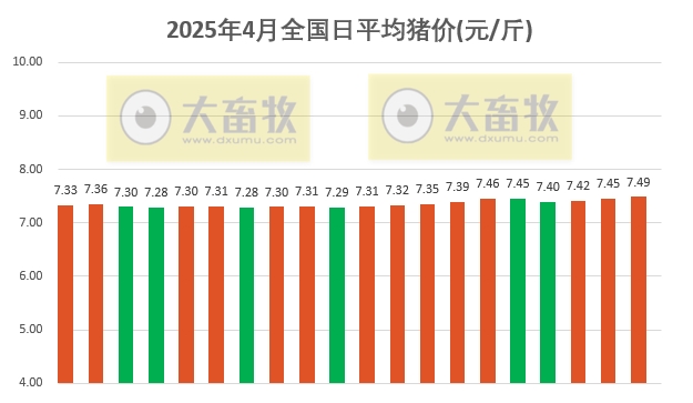 今日猪价 | 2025.04.20 猪价行情——连续3天上涨，涨至近2个多月最高