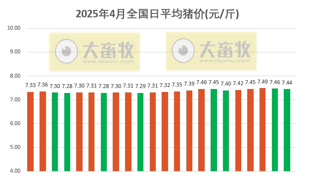 今日猪价 | 2025.04.22 猪价行情