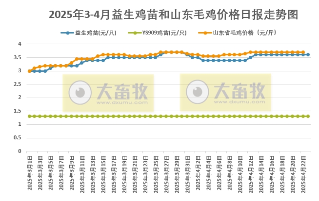2025年4月23日益生鸡苗行情资讯