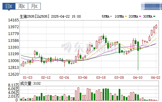 今日猪价 | 2025.04.23 猪价行情——大多数出现上涨