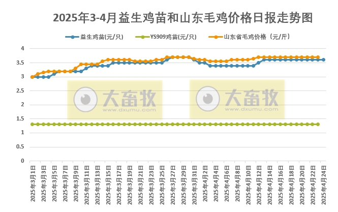 2025年4月24日益生鸡苗行情资讯