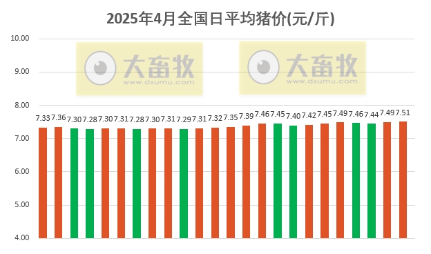 今日猪价 | 2025.04.24 猪价行情