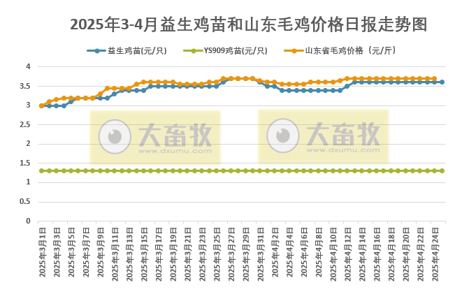 2025年4月25日益生鸡苗行情资讯