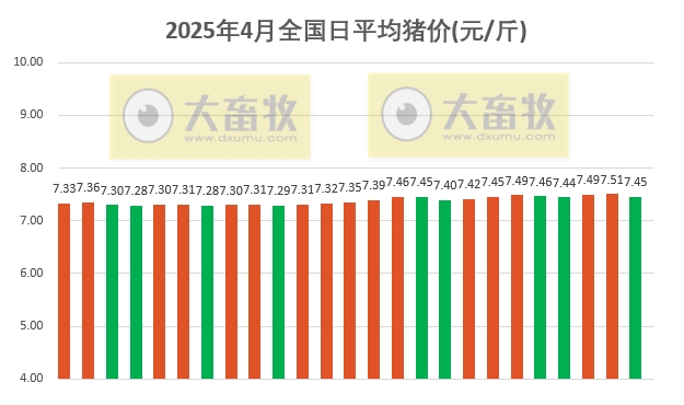 今日猪价 | 2025.04.25 猪价行情——大多数出现下跌