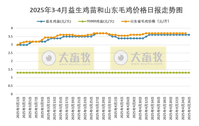 2025年4月26日益生鸡苗行情资讯