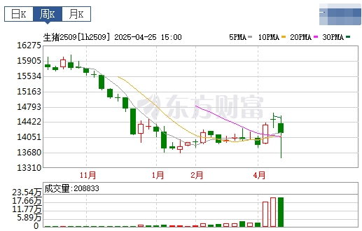 今日猪价 | 2025.04.27 猪价行情