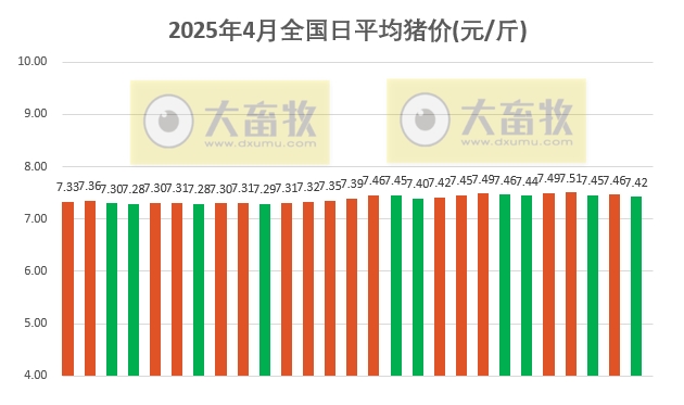 今日猪价 | 2025.04.27 猪价行情