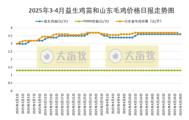 2025年4月27日益生鸡苗行情资讯