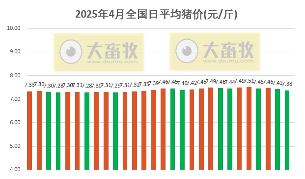 今日猪价 | 2025.04.28 猪价行情
