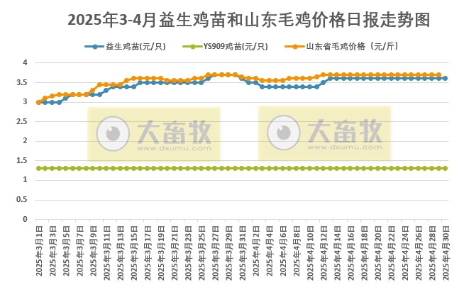 2025年4月30日益生鸡苗行情资讯