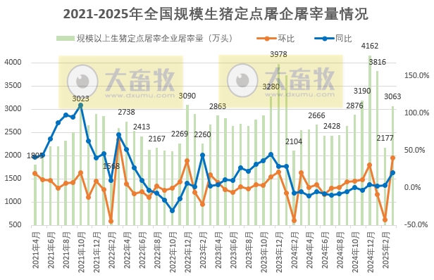 2025年3月及1季度全国规模以上生猪定点屠宰企业的屠宰量情况