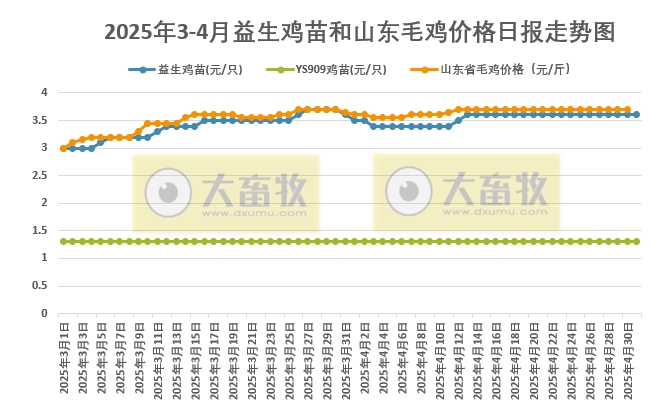 2025年5月1日益生鸡苗行情资讯