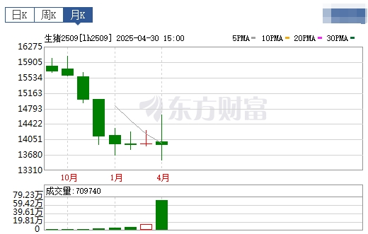 今日猪价 | 2025.05.01 猪价行情