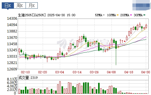 今日猪价 | 2025.05.01 猪价行情