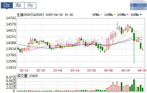 今日猪价 | 2025.05.01 猪价行情