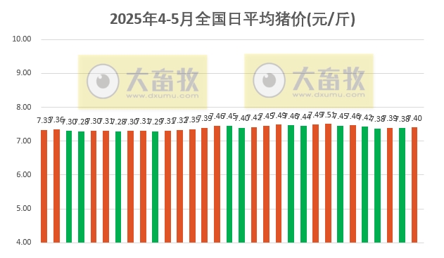 今日猪价 | 2025.05.01 猪价行情
