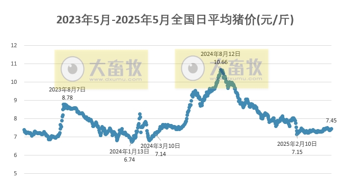 今日猪价 | 2025.05.03 猪价行情