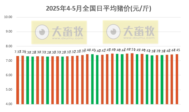 今日猪价 | 2025.05.03 猪价行情