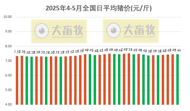 今日猪价 | 2025.05.04 猪价行情
