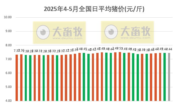 今日猪价 | 2025.05.05 猪价行情