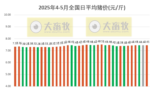 今日猪价 | 2025.05.06 猪价行情